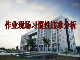 作业现场习惯性违章分析