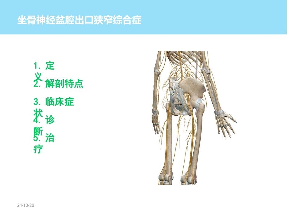 坐骨神经盆腔出口综合征_第2页