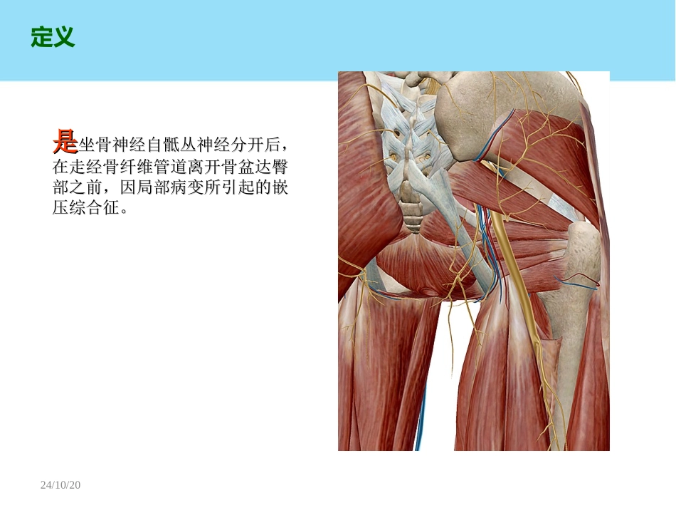 坐骨神经盆腔出口综合征_第3页