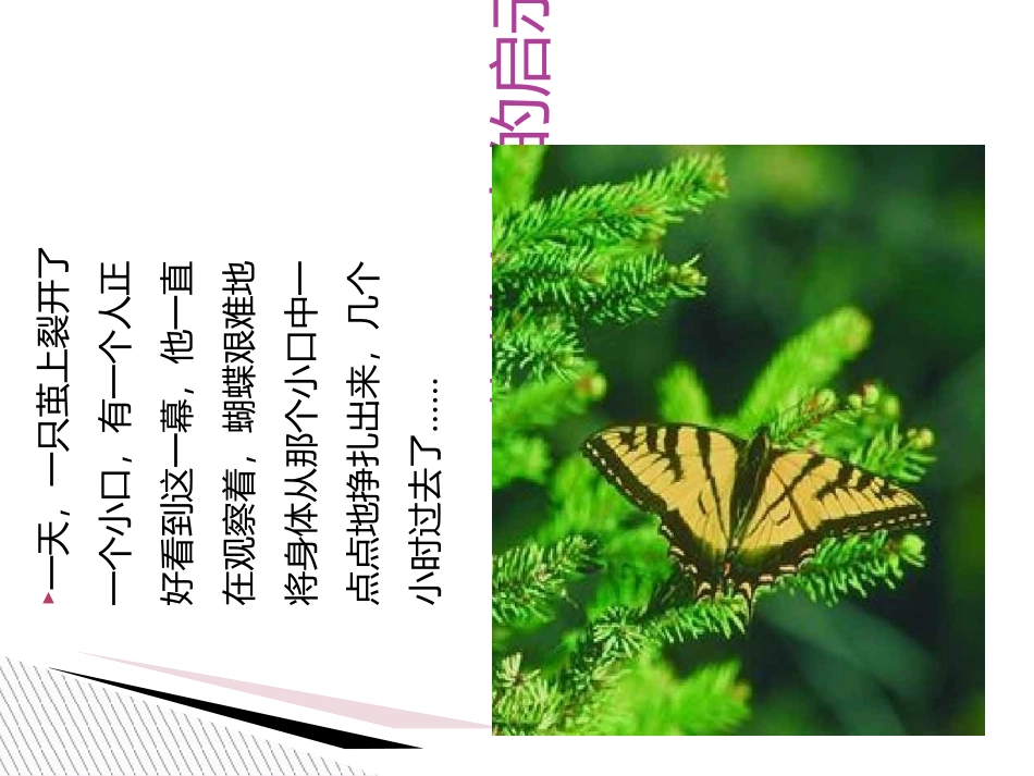 做一个高逆商的人专题培训课件_第2页