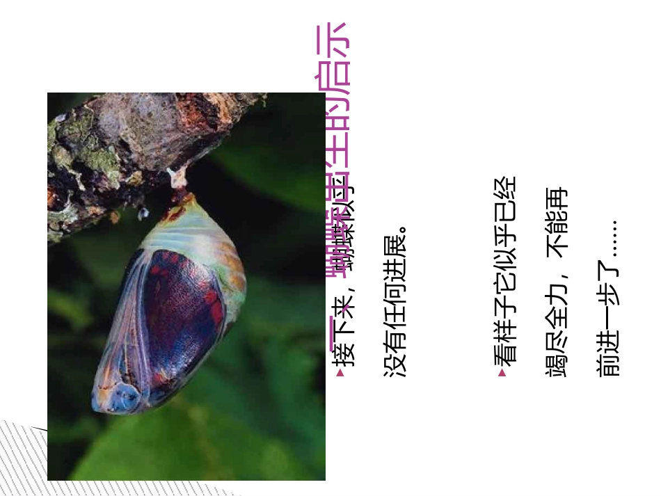 做一个高逆商的人专题培训课件_第3页