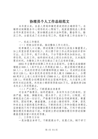 协理员个人工作总结范文