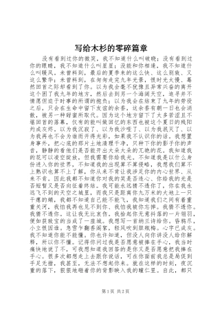 写给木杉的零碎篇章
