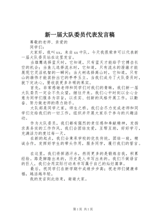 新一届大队委员代表讲话稿