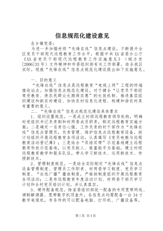 信息规范化建设意见