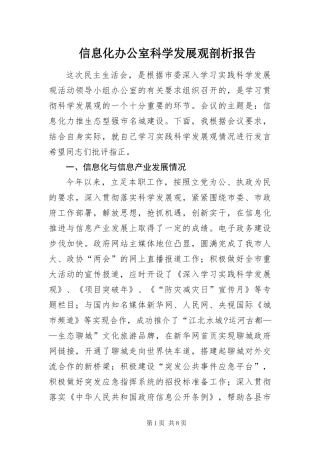 信息化办公室科学发展观剖析报告