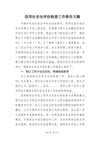 信用社安全评估检查工作报告文稿