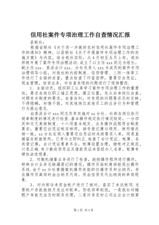 信用社案件专项治理工作自查情况汇报