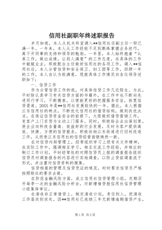 信用社副职年终述职报告