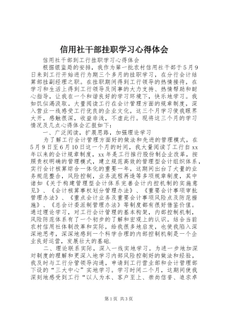 信用社干部挂职学习心得体会