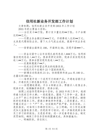 信用社新业务开发部工作计划