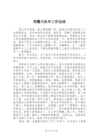 刑警大队年工作总结