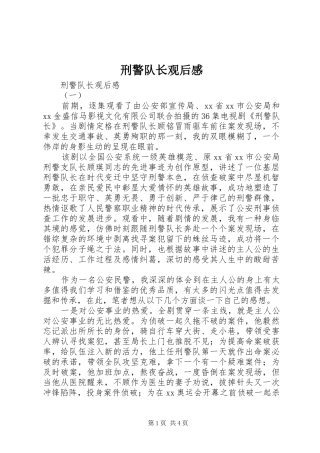 刑警队长观后感