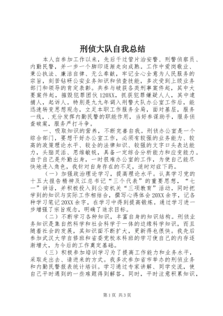 刑侦大队自我总结