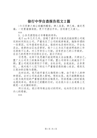 徐行中学自查报告范文篇