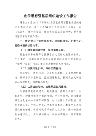 宣传思想暨基层组织建设工作报告