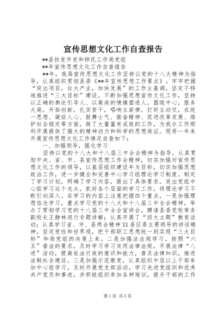 宣传思想文化工作自查报告