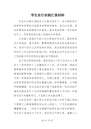 学生农行实践汇报材料