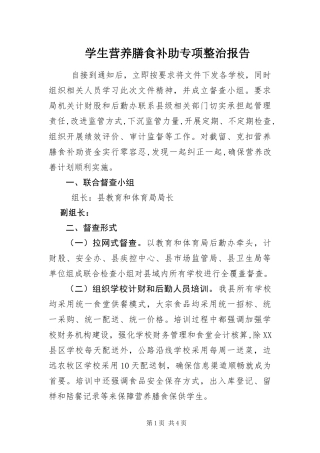 学生营养膳食补助专项整治报告