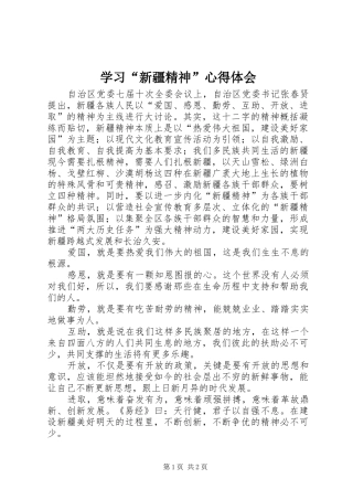 学习新疆精神心得体会