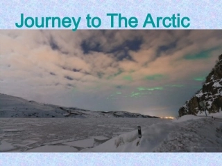 arctic英文介绍北极课件