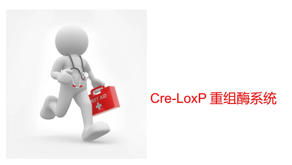 Creloxp基因敲除_第1页