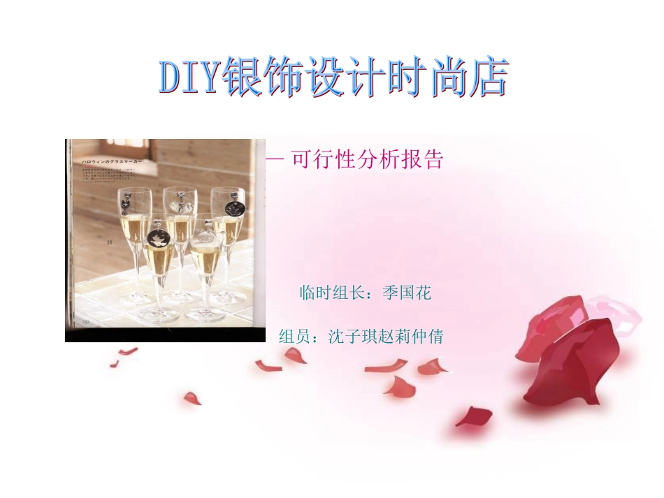 DIY银饰设计可行性分析报告_第1页