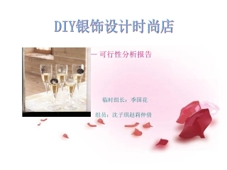 DIY银饰设计可行性分析报告
