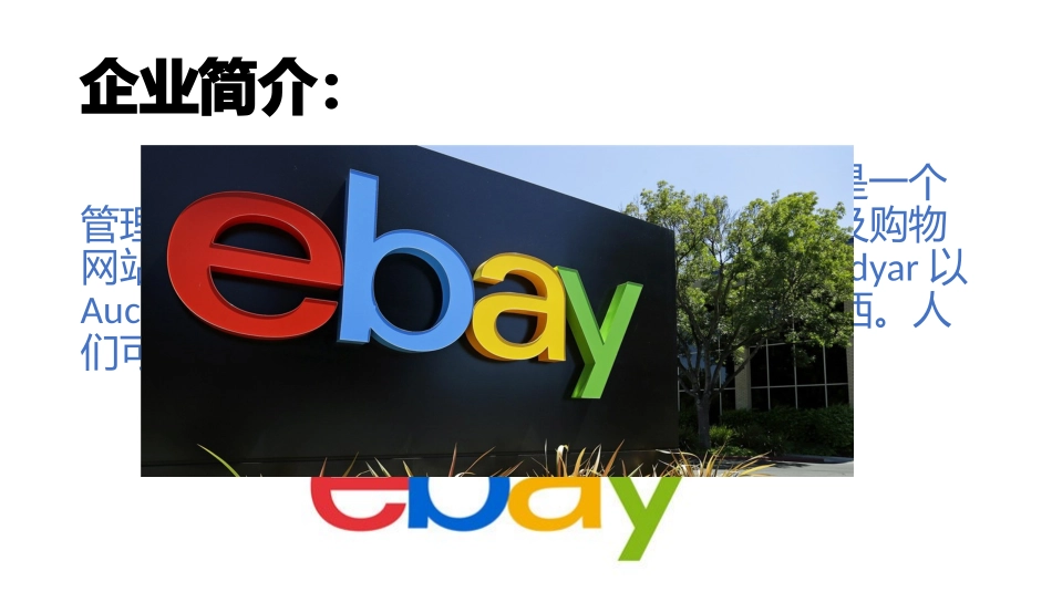 ebay案例分析_第2页