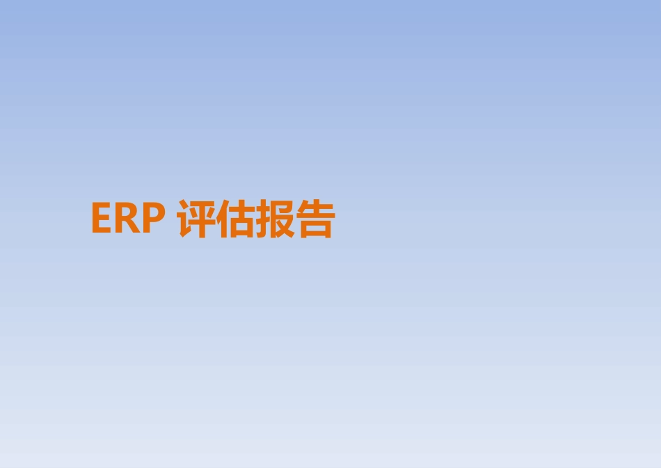 ERP系统评估报告_第1页