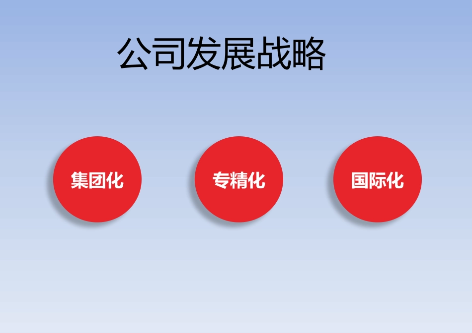 ERP系统评估报告_第2页