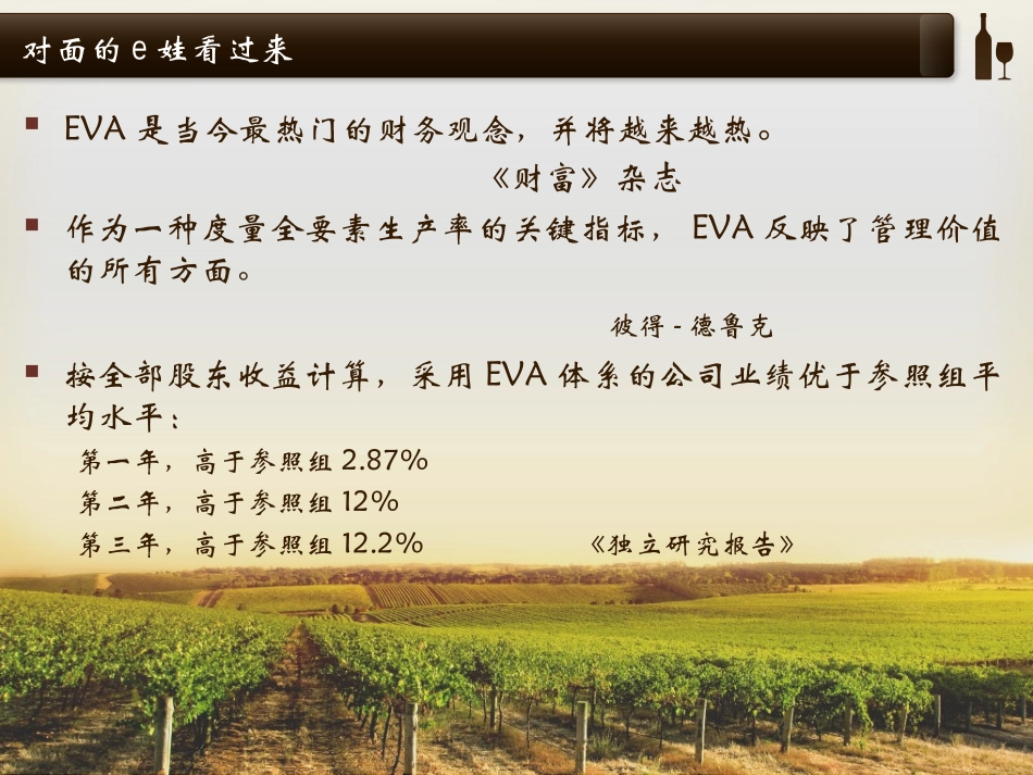 EVA案例分析_第2页