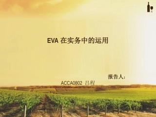EVA案例分析