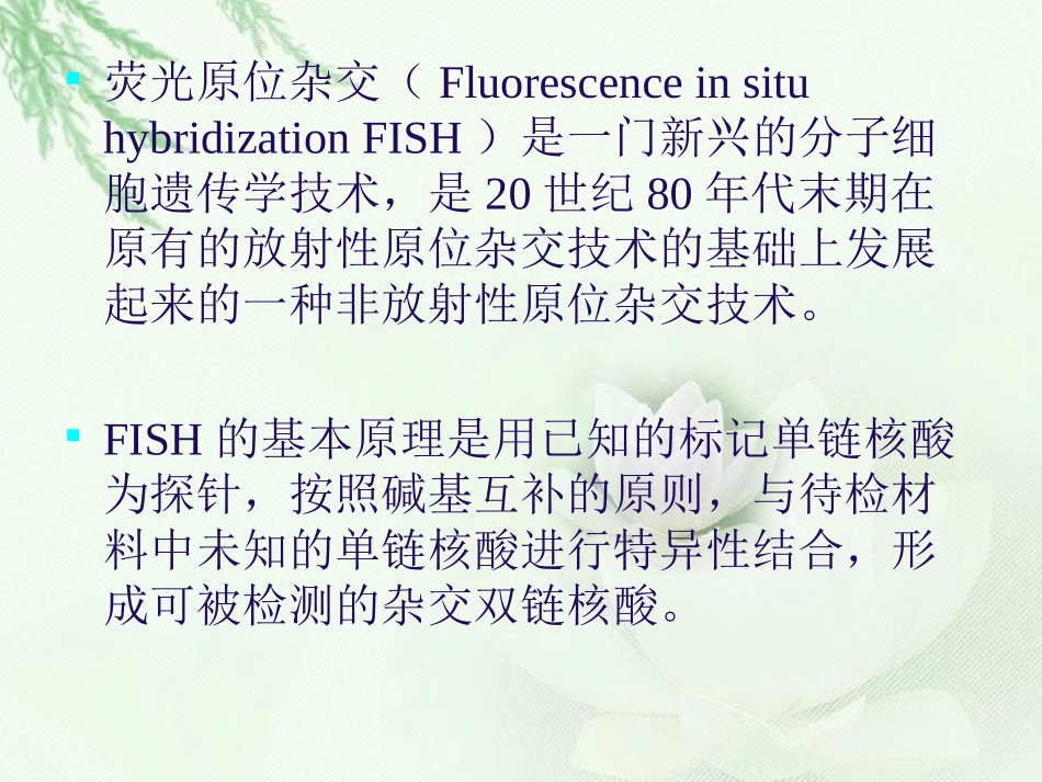 fish荧光原位杂交_第2页