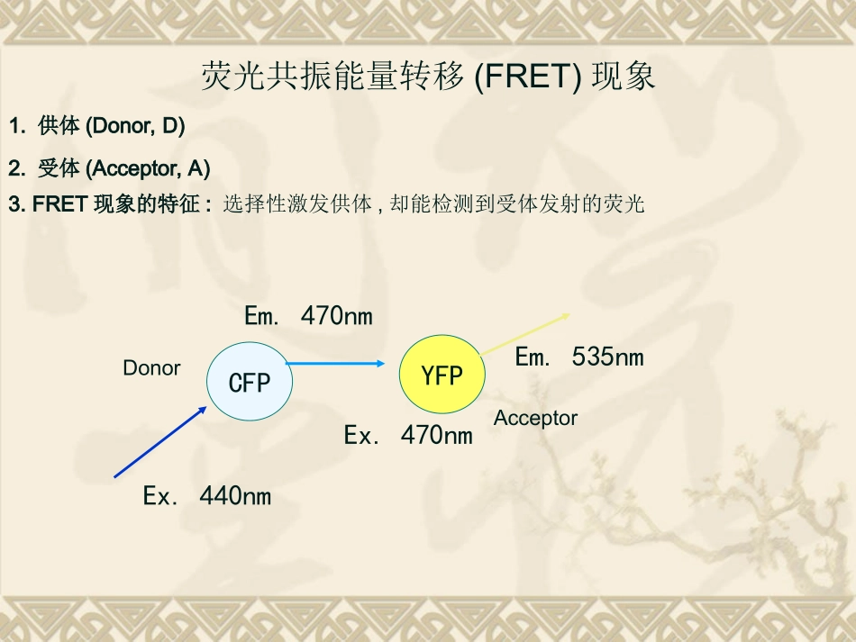FRET荧光共振能量转移_第3页