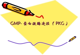 GMP蛋白激酶途径概述