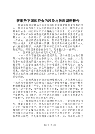 新形势下国库资金的风险与防范调研报告
