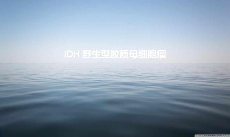 IDH野生型胶质母细胞瘤详细解读_第1页