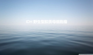 IDH野生型胶质母细胞瘤详细解读
