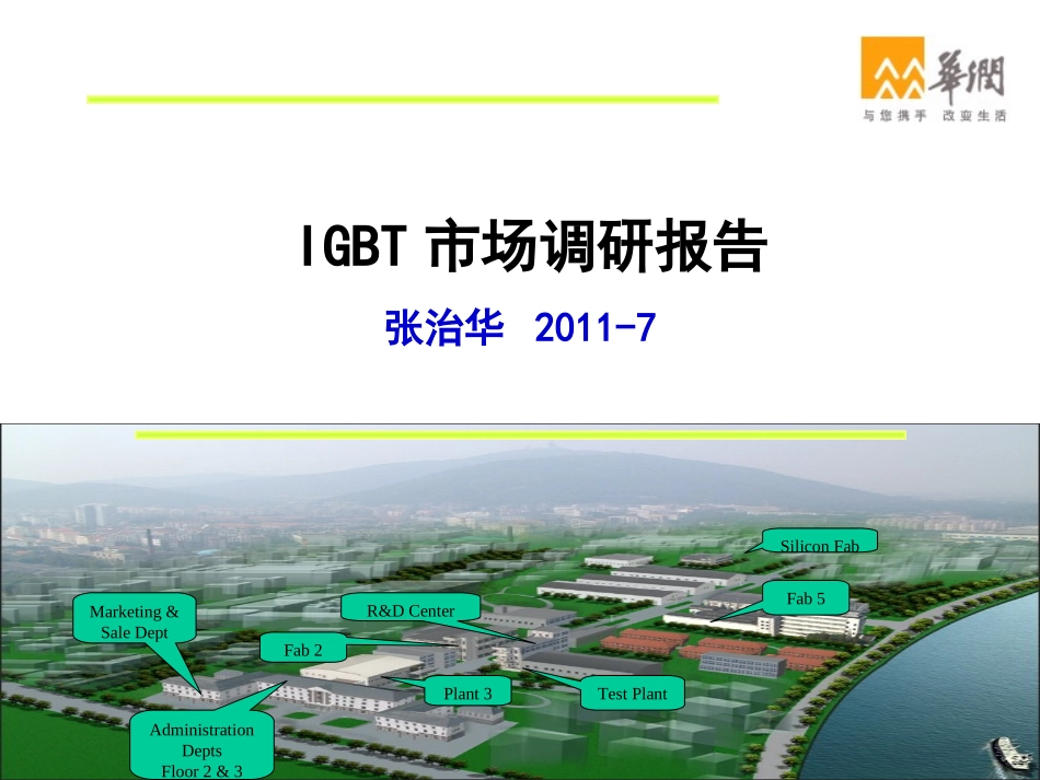 IGBT市场调研报告_第1页