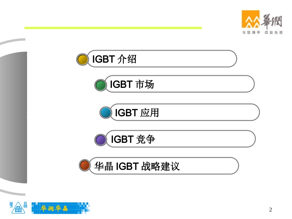 IGBT市场调研报告_第2页