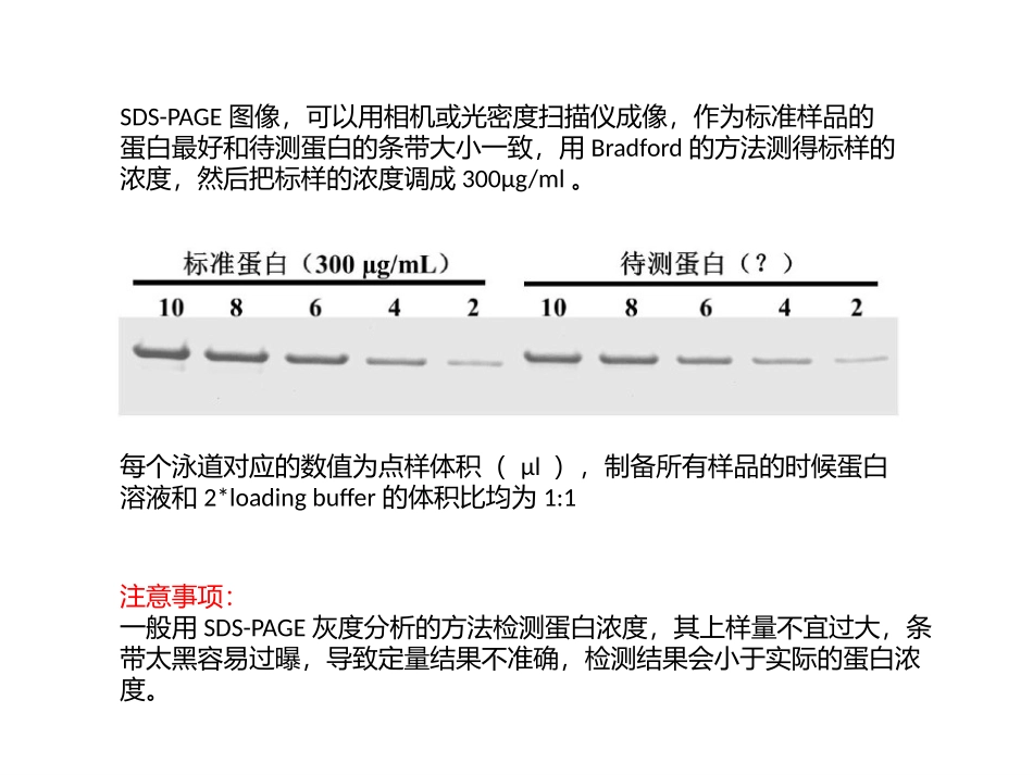 imagej对SDSPAGE灰度分析定量蛋白浓度_第2页