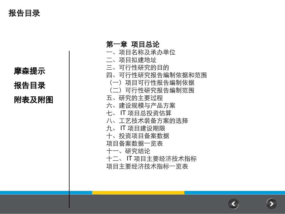IT项目可行研究报告_第3页