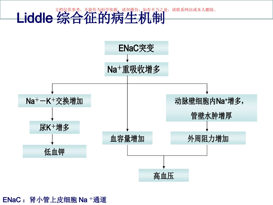 Liddle综合征课件_第2页