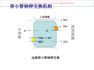 Liddle综合征课件