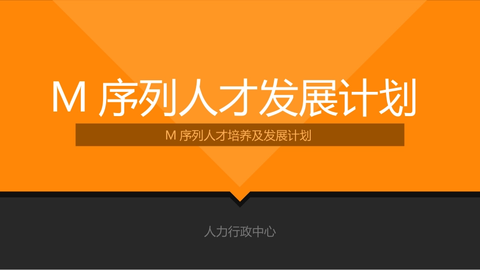 M序列人才发展计划解析_第1页