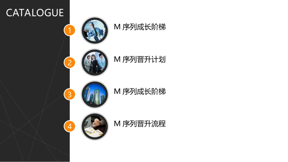 M序列人才发展计划解析_第2页