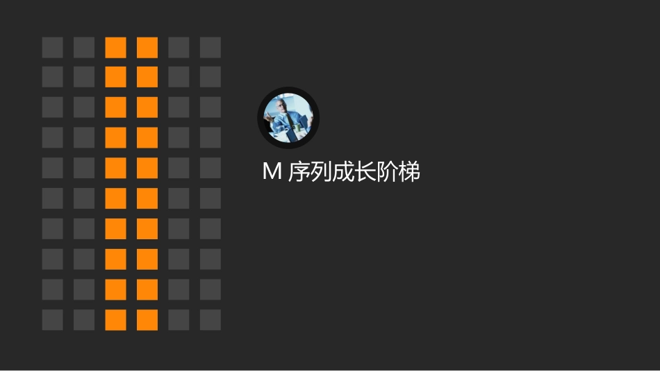 M序列人才发展计划解析_第3页