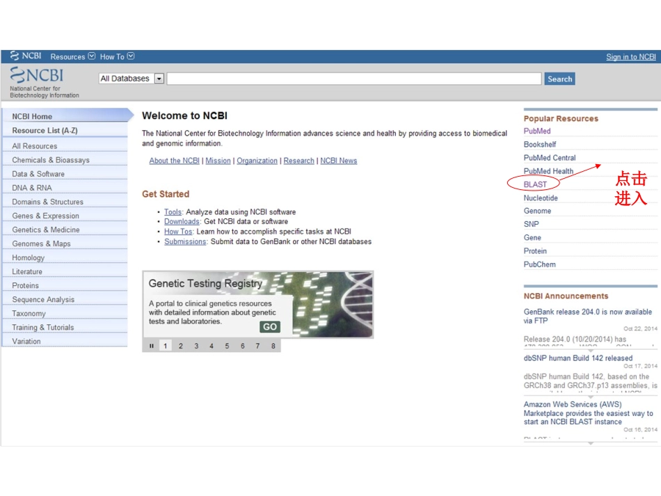 NCBI序列比对方法与实例操作_第1页