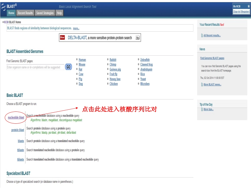 NCBI序列比对方法与实例操作_第2页
